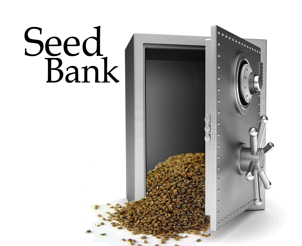 seedbank_pic
