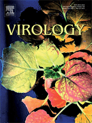 Virology Cover